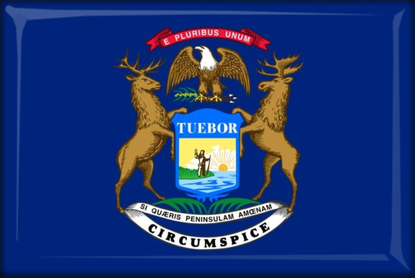 Michigan - Flag - Resin fridge magnet