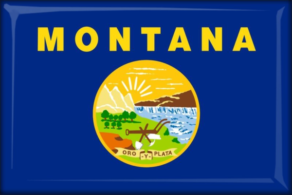 Montana - Flag - Resin fridge magnet