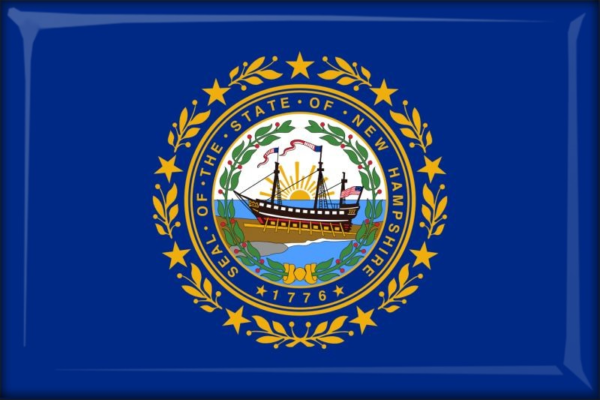 New Hampshire - Flag - Resin fridge magnet