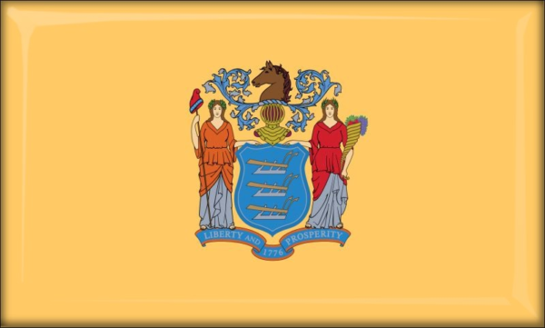 New Jersey - Flag - Resin fridge magnet