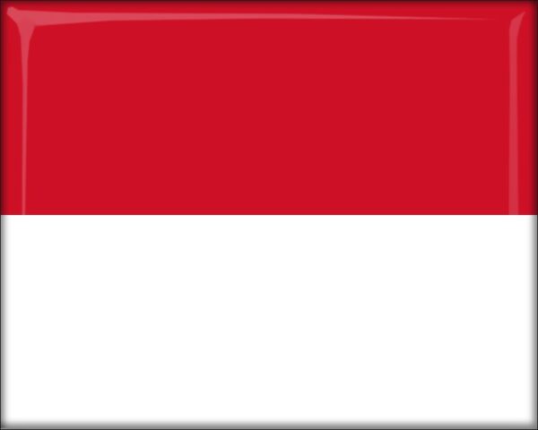 Monaco - Flag - Resin fridge magnet