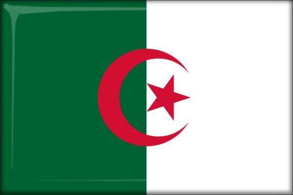 Algeria - Flag - Resin fridge magnet