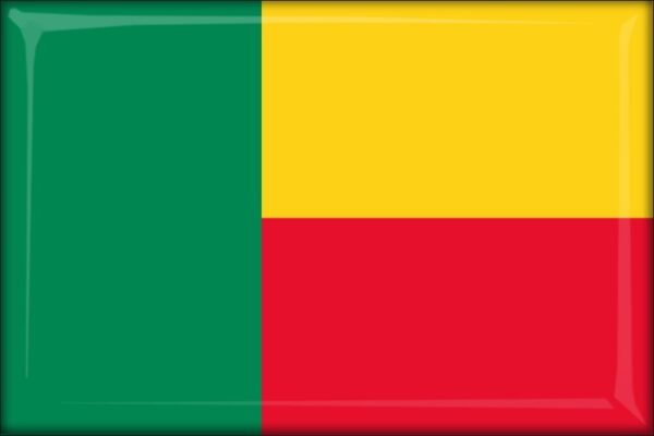 Benin - Flag - Resin fridge magnet