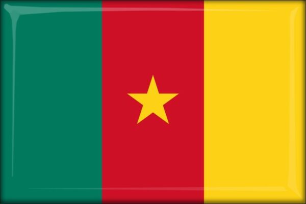 Cameroon - Flag - Resin fridge magnet