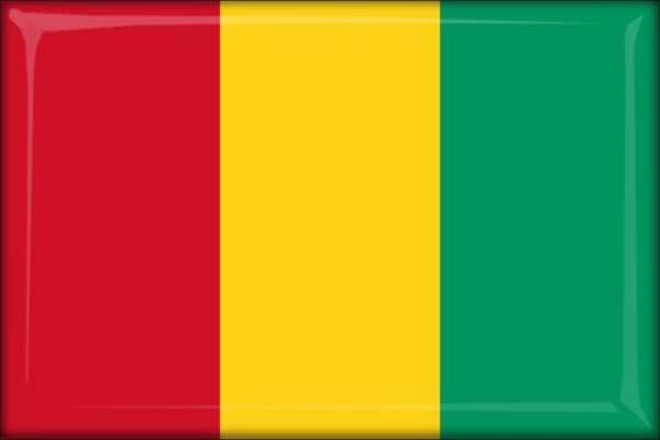 Guinea - Flag - Resin fridge magnet