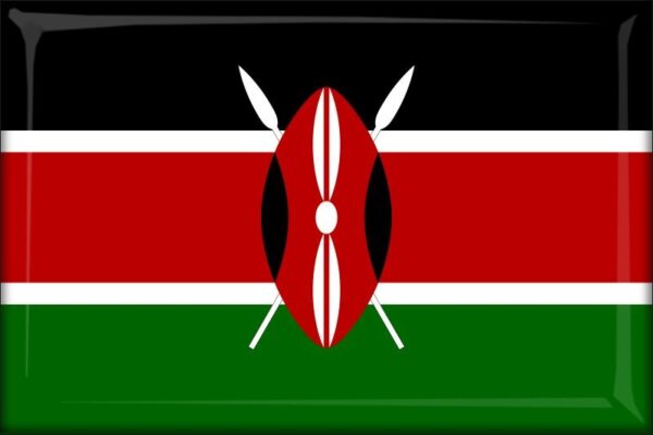 Kenya - Flag - Resin fridge magnet