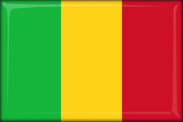 Mali - Flag - Resin fridge magnet