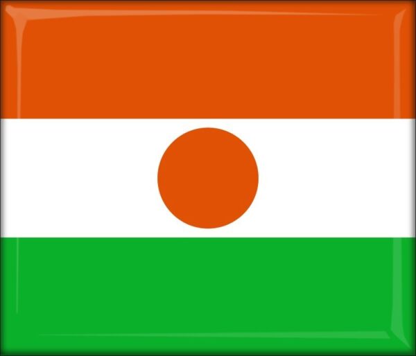 Niger - Flag - Resin fridge magnet