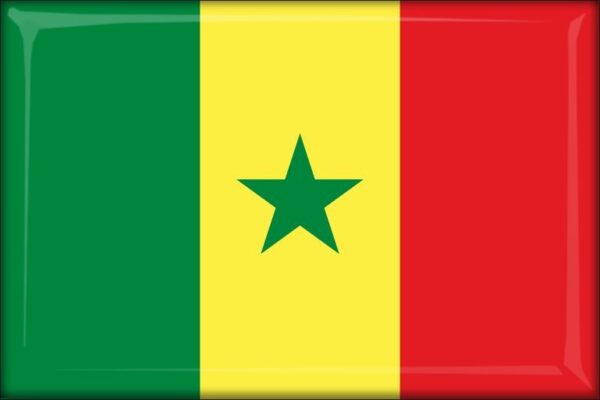 Senegal - Flag - Resin fridge magnet