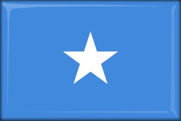 Somalia - Flag - Resin fridge magnet