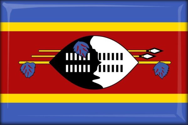 Eswatini - Flag - Resin fridge magnet