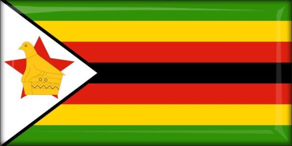 Zimbabwe - Flag - Resin fridge magnet