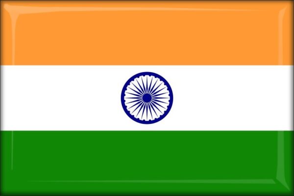India - Flag - Resin fridge magnet