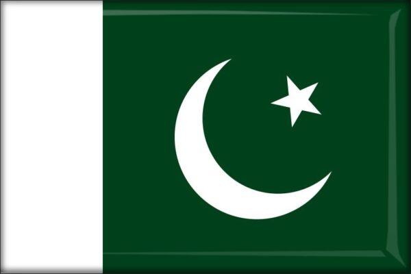 Pakistan - Flag - Resin fridge magnet