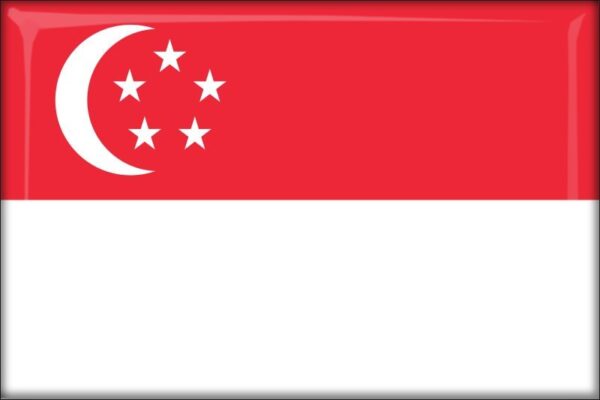 Singapore - Flag - Resin fridge magnet