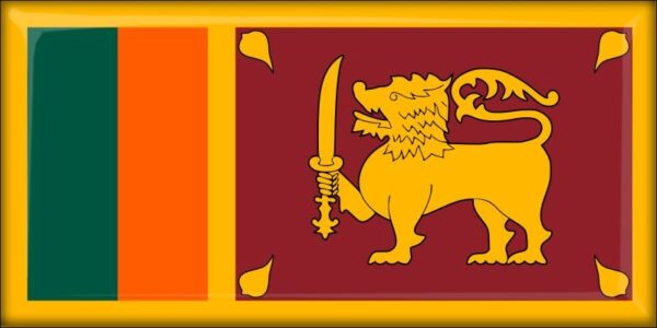 Sri Lanka - Flag - Resin fridge magnet