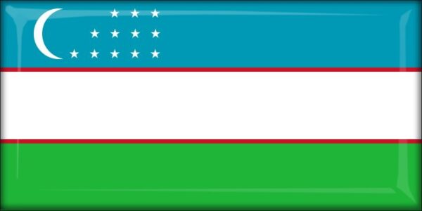 Uzbekistan - Flag - Resin fridge magnet