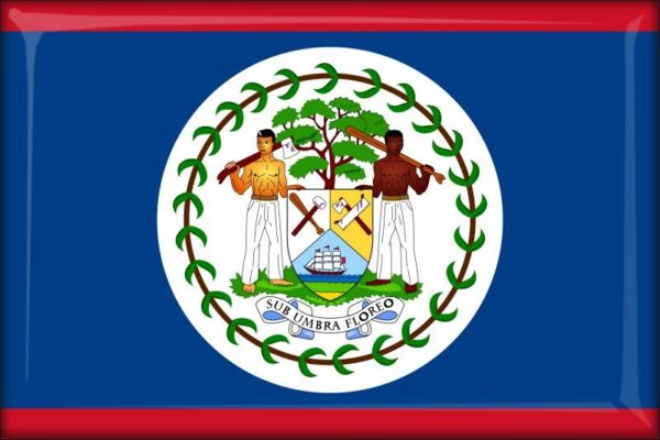 Belize - Flag - Resin fridge magnet