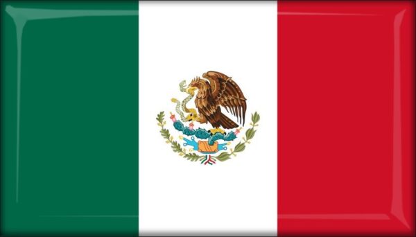 Mexico - Flag - Resin fridge magnet