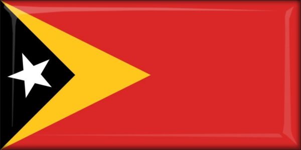 Timor-Leste - Flag - Resin fridge magnet