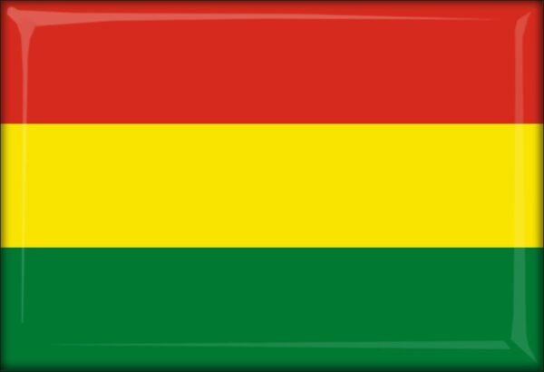 Bolivia - Flag - Resin fridge magnet