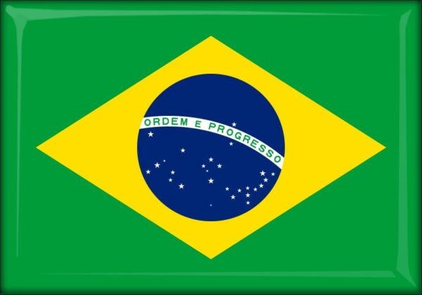 Brazil - Flag - Resin fridge magnet