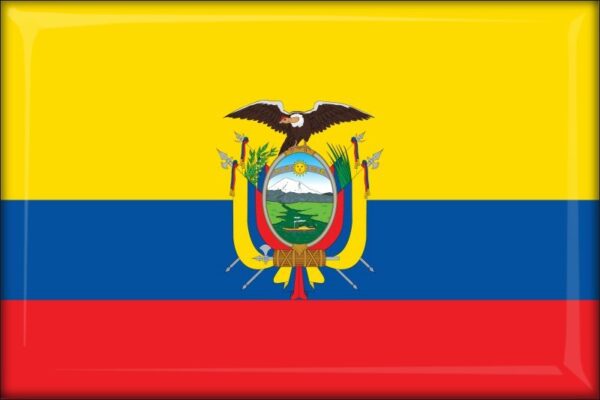 Ecuador - Flag - Resin fridge magnet