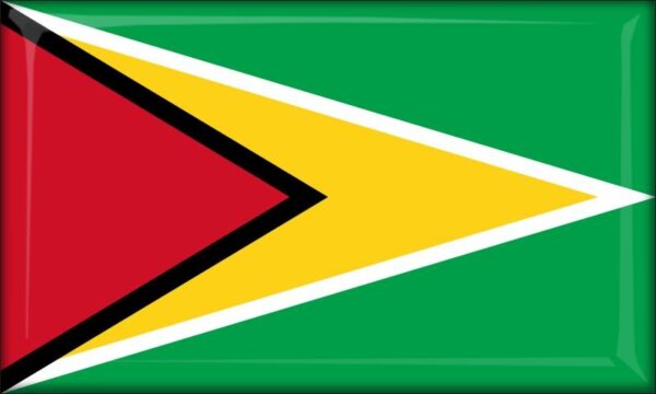 Guyana - Flag - Resin fridge magnet