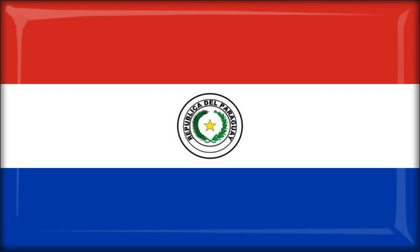 Paraguay - Flag - Resin fridge magnet