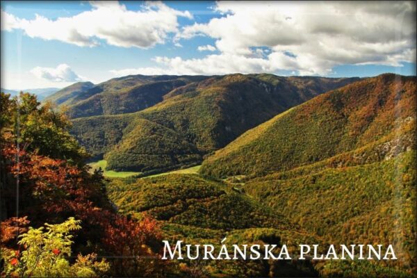 Muránska Planina National Park - Resin fridge magnet