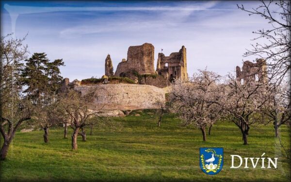 Divín Castle V. - Resin fridge magnet